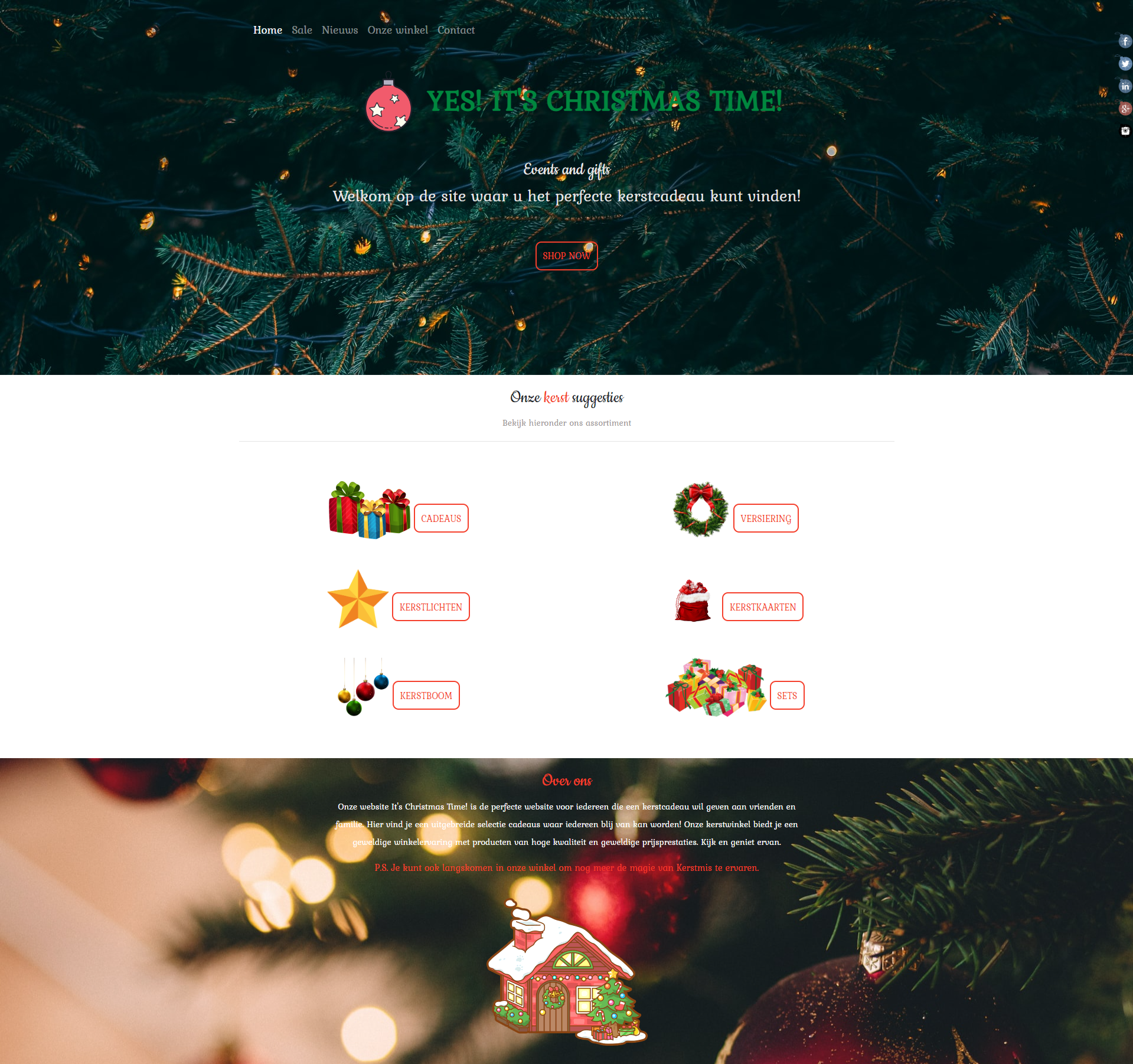 Webdesigner Sasha Minakova